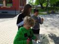 fotogalerie-kazoo-safer-12