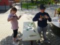 fotogalerie-kazoo-safer-3