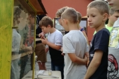 Bienen