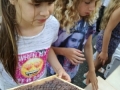 IMG_20180704_081431_resized_20180705_080402318