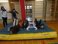 DSC00618