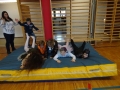 DSC00619