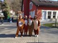fotogalerie_fasching_2025-19