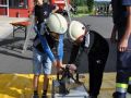 fotogalerie_feuerwehr_2024-57