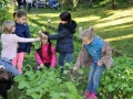 Klasse2-Gemeinschaftsgarten-2 (31)