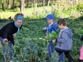 Klasse2-Gemeinschaftsgarten-2 (33)