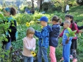 Klasse2-Gemeinschaftsgarten-2 (34)