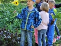 Klasse2-Gemeinschaftsgarten-2 (36)