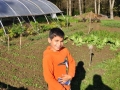 Klasse2-Gemeinschaftsgarten-2 (8)