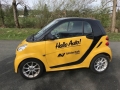 fotogalerie_hallo_auto_2021-5