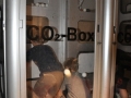 Haus_der_W_17_18 (8)