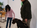 fotogalerie_hundeprojekt2013_0029