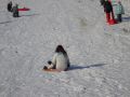 fotogalerie_bob_2021_22-46
