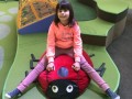 thumbnail_IMG_5817