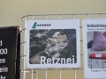 fotogalerie_lafarge_2018 (2)