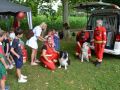 fotogalerie_safetyD_26-28