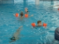 fotogalerie_schwimmen-radkersburg-14-15-009