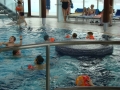 fotogalerie_schwimmen-radkersburg-14-15-011