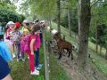 fotogalerie_wandertag_2223-8