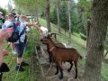 fotogalerie_wandertag_2223-9